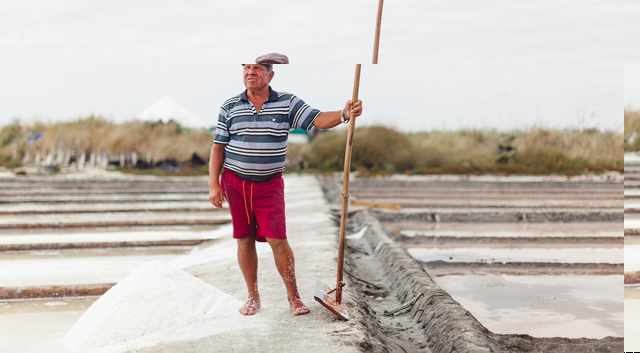 Salineiro standing in the Aveiro salt pans holding a traditional wooden rake